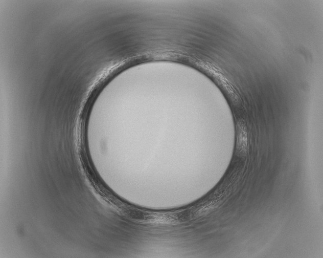 X0000115030678200912071049