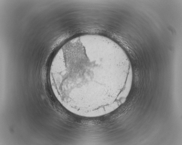 X0000115030679200912071049