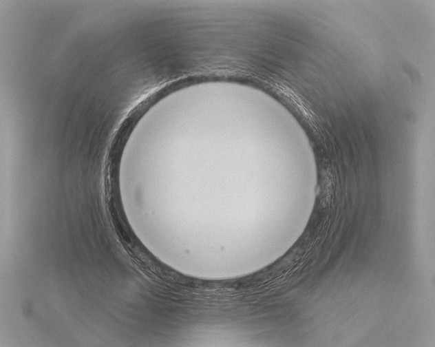 X0000115030680200912071049