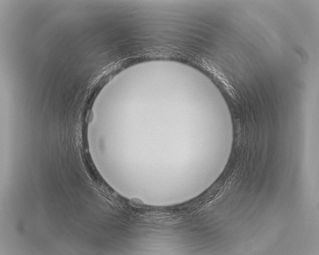 X0000115030681200912071049