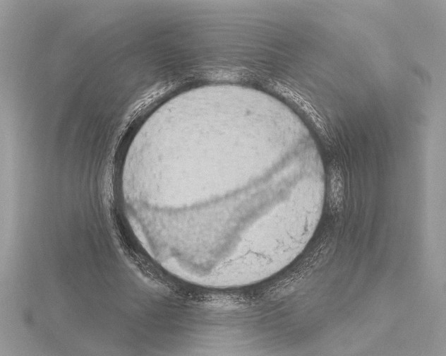 X0000115030682200912071049