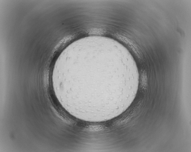 X0000115030686200912071049