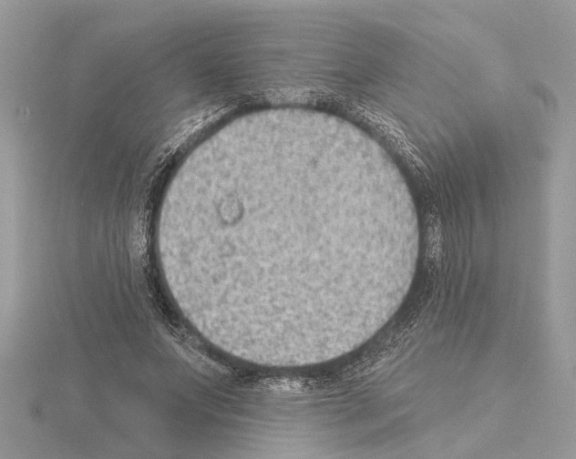 X0000115030687200912071049