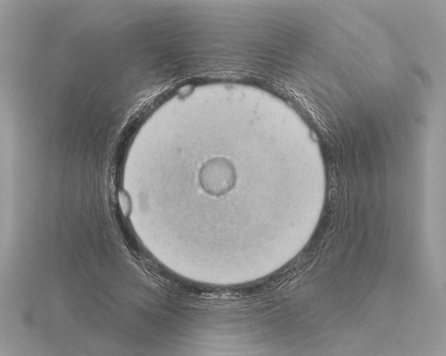 X0000115030688200912071049