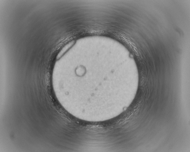 X0000115030689200912071049