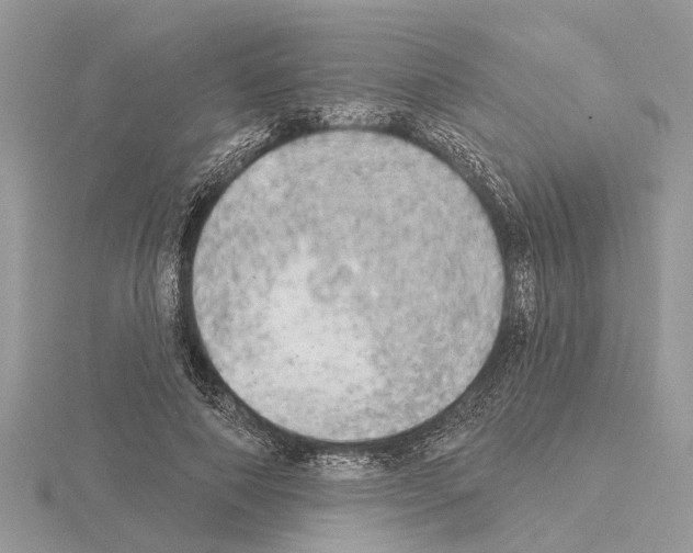 X0000115030690200912071049