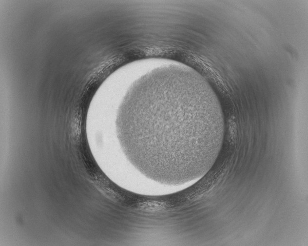 X0000115030691200912071049