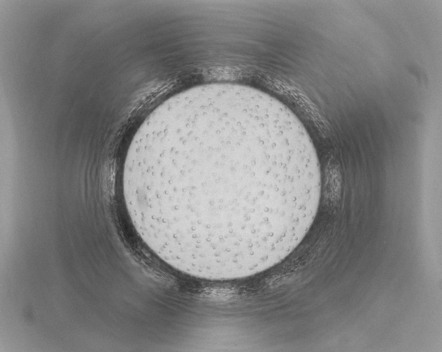 X0000115030694200912071049