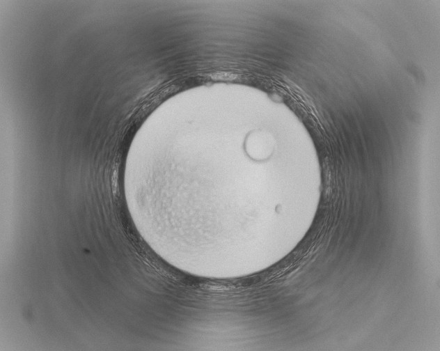 X0000115030697200912071049