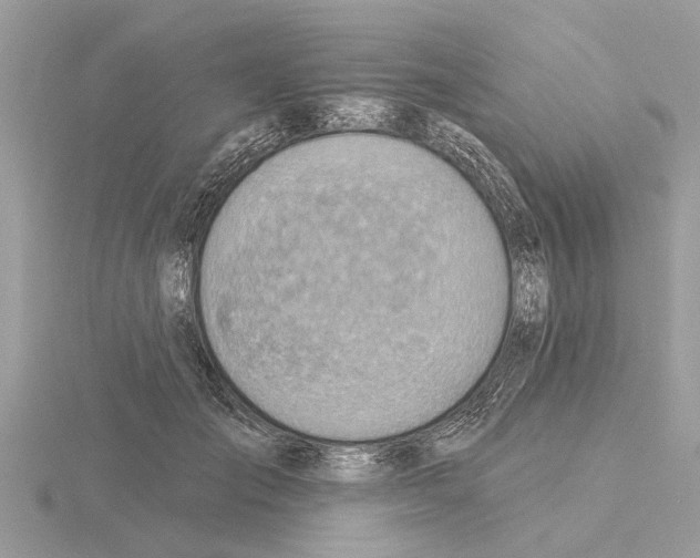 X0000115030701200912071049