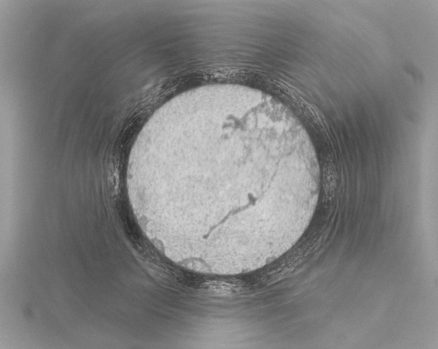 X0000115030703200912071049