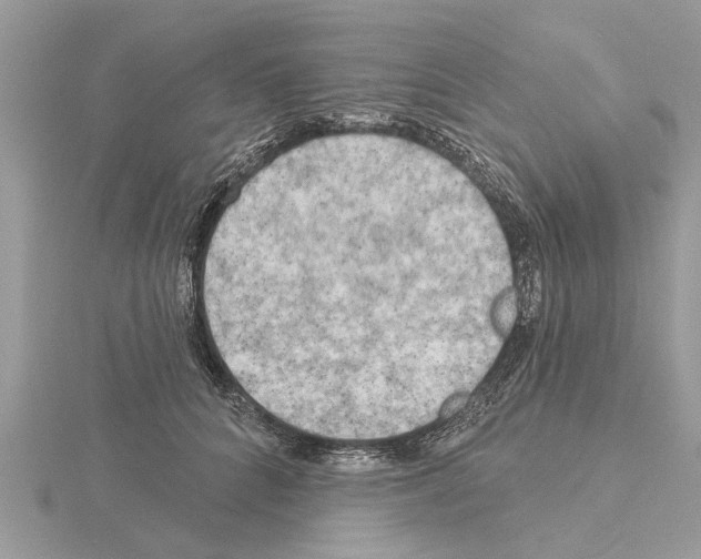 X0000115030704200912071049