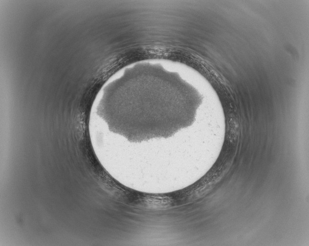 X0000115030707200912071049