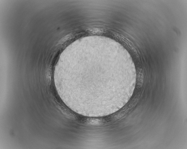 X0000115030710200912071049