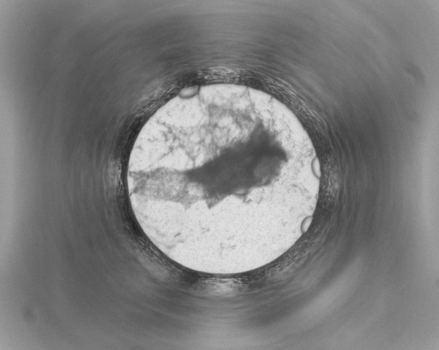 X0000115030711200912071049