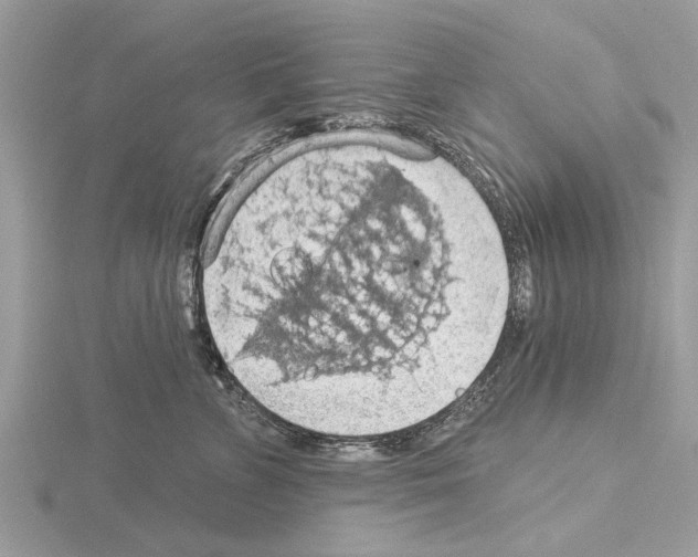 X0000115030715200912071049