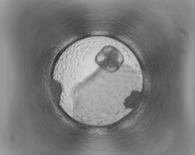 X0000115030721200912071048