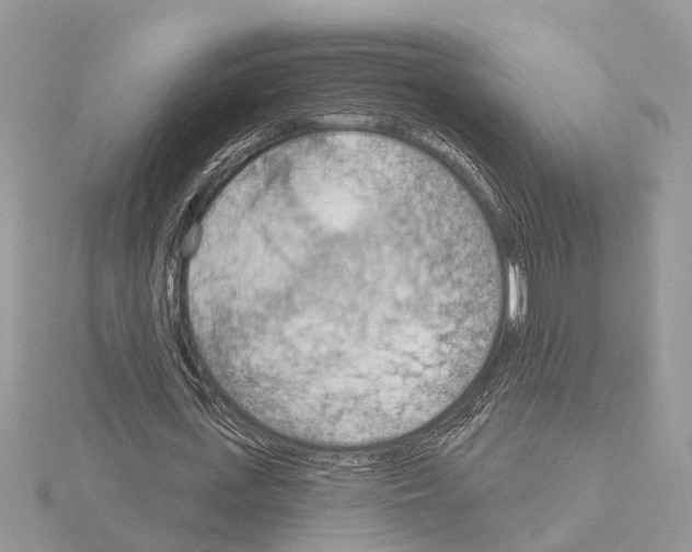 X0000115030723200912071048