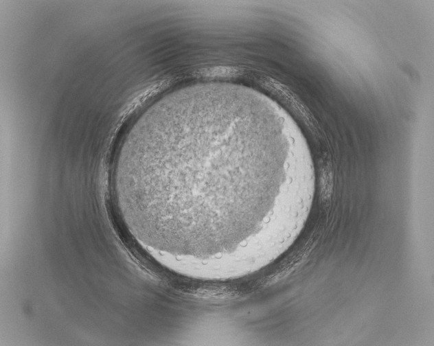 X0000115030725200912071048