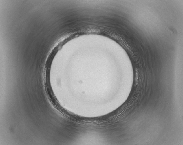 X0000115030726200912071048