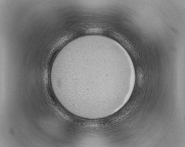 X0000115030729200912071048