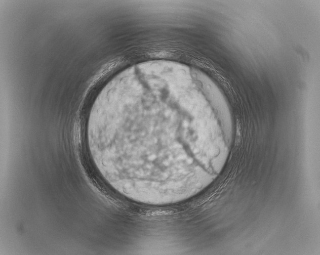 X0000115030734200912071048