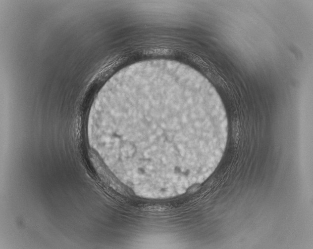 X0000115030735200912071048