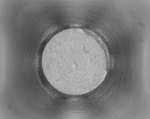 X0000115030738200912071048