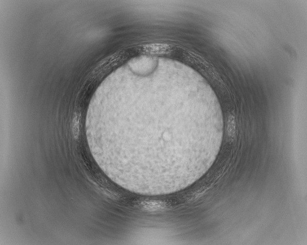 X0000115030741200912071048