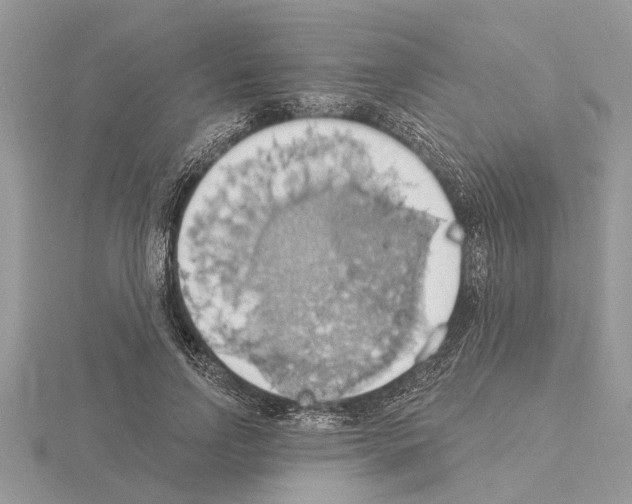 X0000115030742200912071048