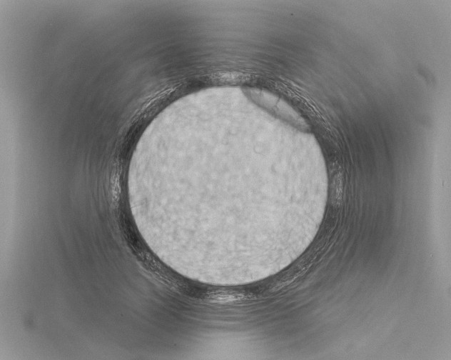 X0000115030746200912071048