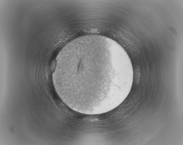 X0000115030747200912071048