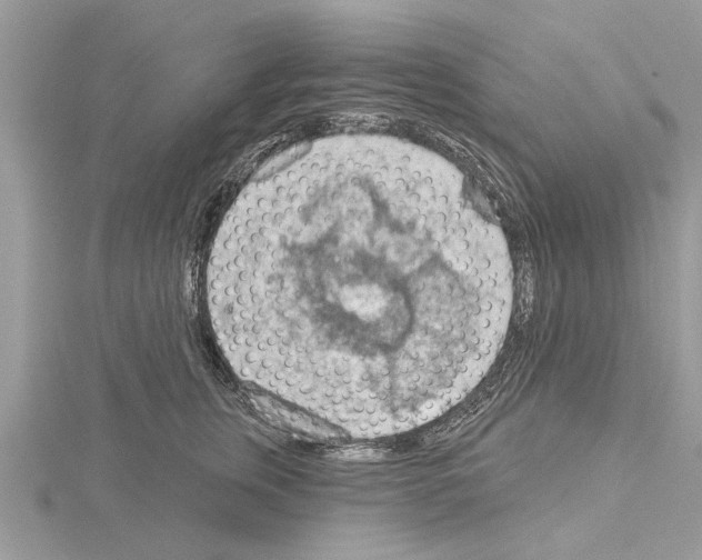 X0000115030759200912071048