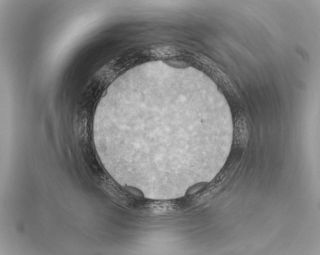 X0000115030762200912071048