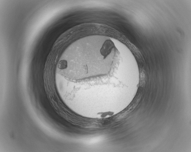 X0000115030765200912071049