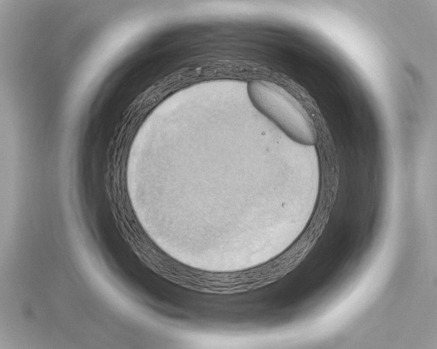 X0000115030766200912071049