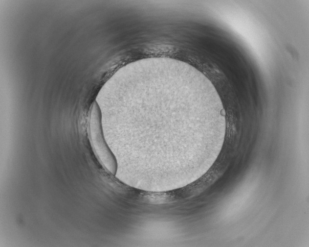 X0000115030767200912071049