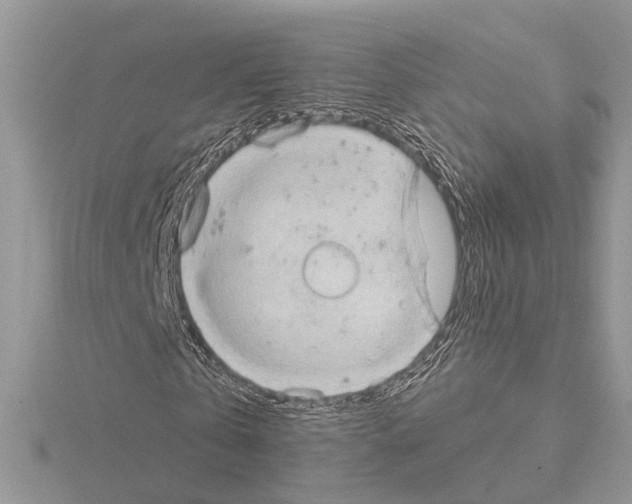 X0000115030769200912071048