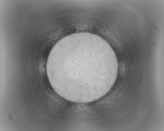 X0000115030770200912071048