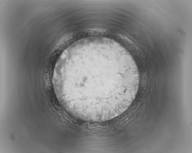 X0000115030774200912071048