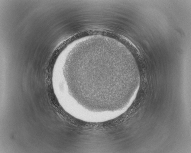 X0000115030775200912071048