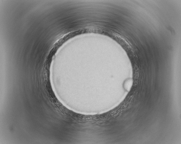 X0000115030776200912071048