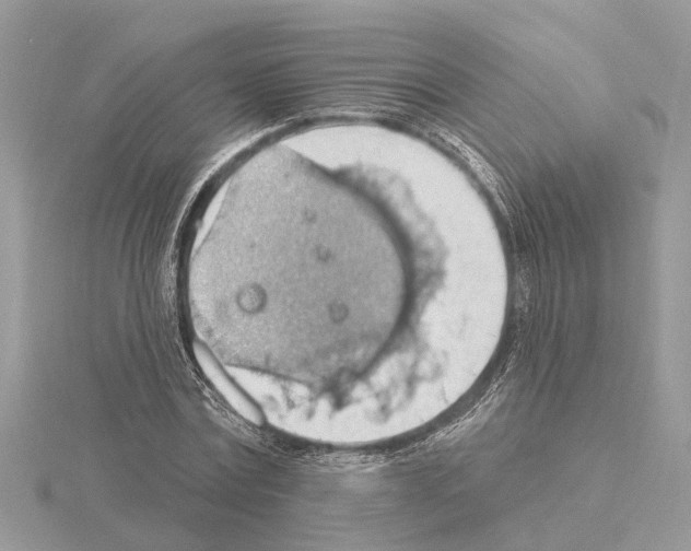 X0000115030779200912071048