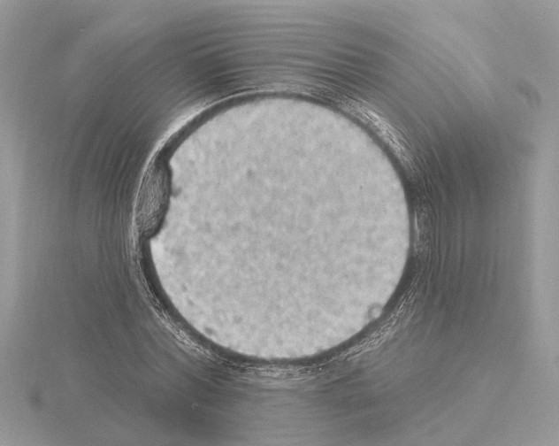 X0000115030780200912071048