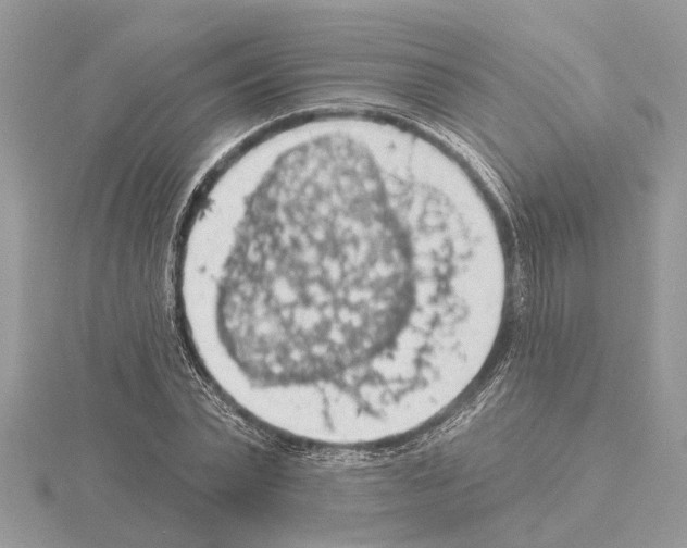 X0000115030783200912071048