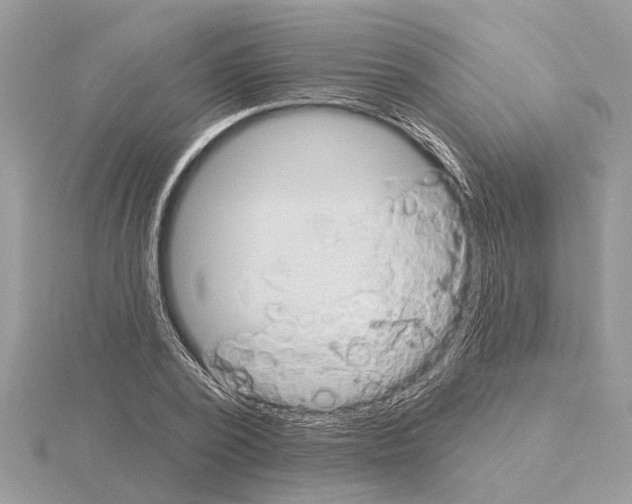 X0000115030784200912071048