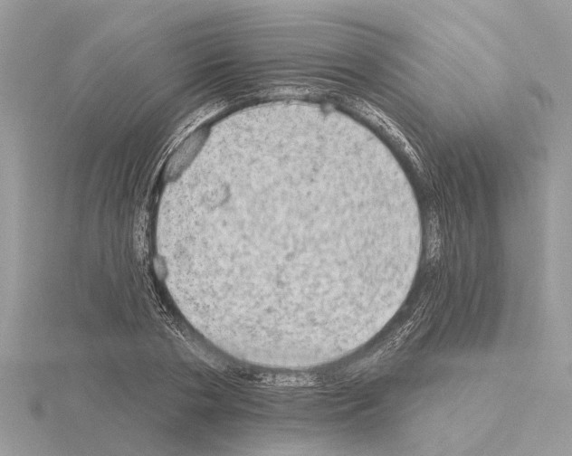 X0000115030786200912071048