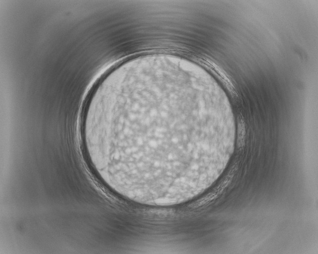 X0000115030788200912071048