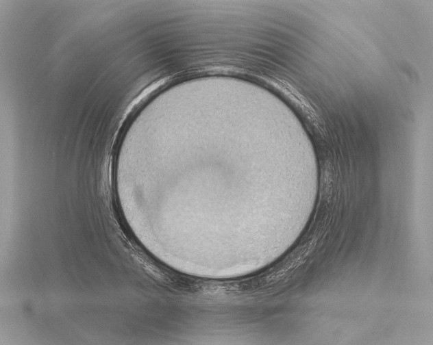 X0000115030790200912071048