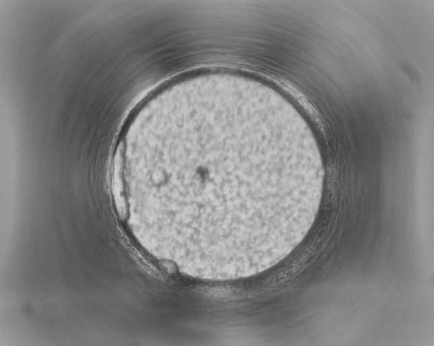 X0000115030791200912071048